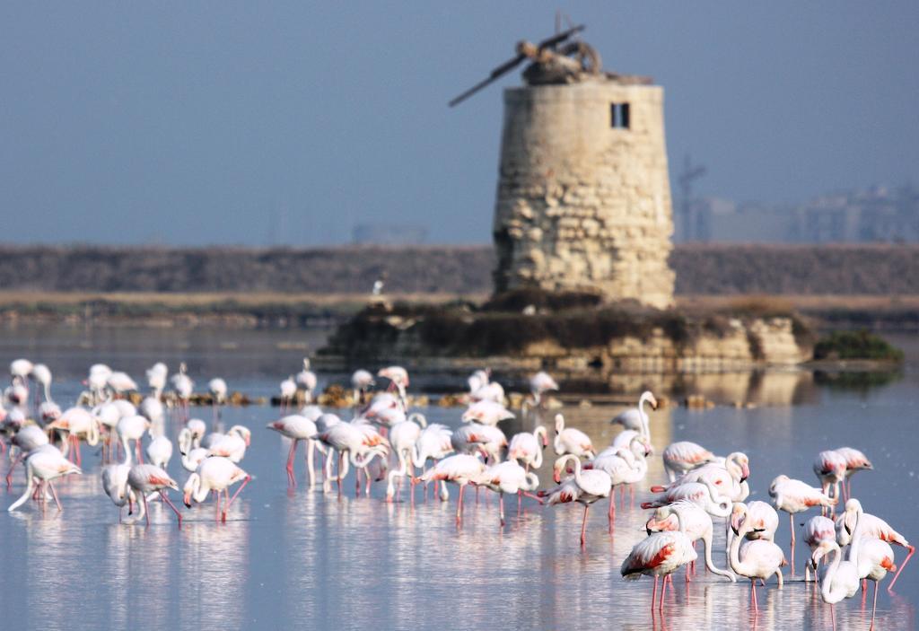 Villa Pia Cornelia Пачеко Экстерьер фото